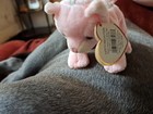 Ty Basket Beanie    carnation    The Cat