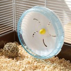 Quiet Silent Pet Wheel Replacement For Small Animals Durable Abs Sky Blue