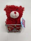 Red Love Mini Teddy Bear In Silver Metal Heart Basket - If It Fits It Sits - Nwt
