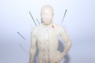 Acupuncture Acupressure  Model Doll Chinese Notation