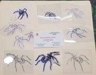 1970s 1980s Acetate Stencil Spiders Used By Red s Tattoo Studio From Flash