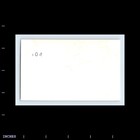 Old Vintage Photo Women Standing In Yard Outside House