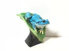 Rare Bandai Namco Amphibian Japanese Tree Frog Blue Figure Sp