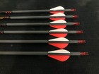Gold Tip Hunter 340 Carbon Arrows  W  2  Raptor-x Vanes 6pk Brand New