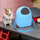3pcs Hamster Carrier Travel Bag - Breathable Guinea Pig Backpack With Mesh