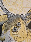 Perfect Circle Band Signed Poster   115 Nm Jackrabbit 2017 Walter