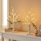 Eambrite Lighted Birch Tree With Led Lights  White Christmas 22in X2 
