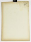 Medical Anatomy Colored Lithograph Print 1850s Vintage Antique 14 25x10 25  60