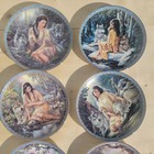 Exquisitely Beautiful- Bradford Exchange-native Beauty Series  first Glance 