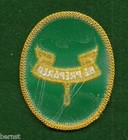 Boy Scout - Second Class Patch - Green - Plastic - Used - Free Shipping