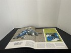 Ford 9600 Tractor Farm Advertising Sales Brochure