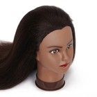 Hair Mannequin Head 100  Real Hair Hairdresser Practice Styling Training Head   