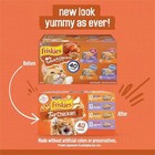 Purina Friskies 5 5 Oz Canned Wet Cat Food - Chicken And Turkey Variety Pack  40
