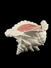 Vtg Atlantic Mold Sea Shell Conch Ceramic Planter Pink White Beach Shore Decor 