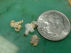 3 Natural Gold Quartz Specimens  54 Gram California Mother Lode
