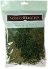 Preserved Spanish Moss 108 5 Cubic Inches-apple Green