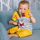 Aiviai Baby Toys 0-6 Months Infant Toys 0-3 Months Infant Rattles Baby Rattle Te