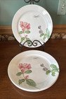 Corelle Camellia 10 1 4  Dinner Plates Dragonfly   Pink Floral Set Of 4 Exc