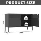 Black Metal Storage Cabinet 2 Door Tv Stand  Metal Mesh Accent Cabinet