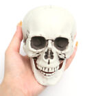 Plastic Miniature Human Head Skeleton Skull Figurines Sculpture Halloween Decor