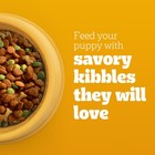 Pedigree Dry Puppy Food  Food With Grilled 3 5 Pound  pack Of 1  