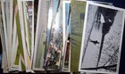 Vintage Postcard Lot Of 1000 Mostly Chrome   Linen Unposted Usa 1930s To 1970s
