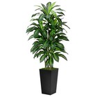 5ft Tall Artificial Dracaena Tree With Lights Home Garden Decor Fake Tree Indoor