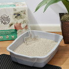 3 Pack Special Kitty Odor Control Tight Clumping Cat Litter  Fresh Scent  40 Lb