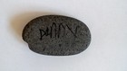 Pet Rock Named Danny Hes Very Precious To Me