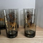12-pc Set Vintage Astrology Zodiac Glasses Tumblers Gold Accents Mcm Horoscope