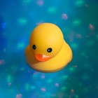      Boogie Bath Duck Disco Led Light-up Color Bath Tub - Kids Party Ducky Toy     