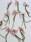 Lovely Old Stock Millinery   Pale Pink Chiffon Sweet Peas   1 Bundle   30 Stems