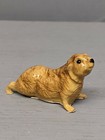 Retired Hagen Guinea Pig