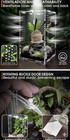  Live Praying Mantis Kit 1 Fresh Egg Case  Educational Science Kit  Stem Project