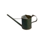 Early Small Antique Rose Plant Water Can Original Green Paint Adirondack Estate