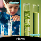 Science Kits For Kids Age 4-8-12  52 Science Experiments For Kids 6-8  5 In 1 Ph