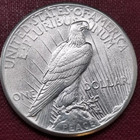 1927 Peace Dollar   Xf au  detail    Key Date