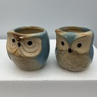 Set Of 6 Owl Glazed Ceramic Succulent Planter Pots With Drainage 2 5    Nib
