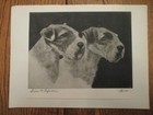Beautiful 1931 Bert Cobb Dry Point Etching Print Sealyham Terrier Dogs scotia