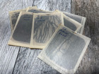 Vintage Microscope Slide Negative Lot Science Botany Plants Bugs Photomicrograph