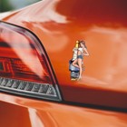 Vintage Garage Pin-up Spark Plug Decal Sticker Car 5x2 3