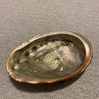 Red Abalone Shell Iridescent pearlescent  Shimmery Green pink 8x6 Home Decor