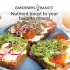 Broccoli Seeds For Sprouting Kit And Microgreens Nongmo Heirloom Bulk 1 Pound Re