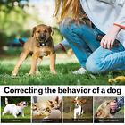 Usb Dog Light Collar With Remote For Dogs Pets Training Electric Shock Collar