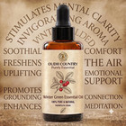 Winter Green Essential Oil  100  Pure  Natural   Therapeutic Grade Oil