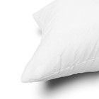 Throw Pillow Insert Lightweight Soft Polyester Down Alternative Decorative Pillo