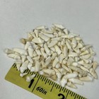 Lot Of 100 Assorted Small Coyote Teeth Real Cleaned Taxidermy Weird Goth  2481