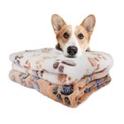 2x Blankets Super Soft Paw Pattern Pet Blanket Dog Puppy Cat Throw Mat 31 x23 