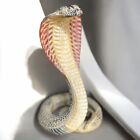 Rare Ancient Egyptian Antiquities Statue Large Of Mighty Cobra Snake Wadjet Bc
