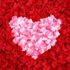 1000 Pcs Artificial Silk Flower Gold Rose Petals For Weddings  Parties    Decor